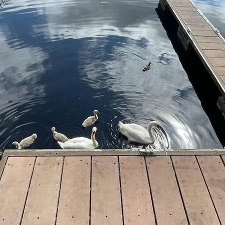 Lejlighed Centrally Located On Shannon Shore Side