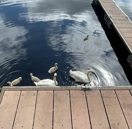 アパート Centrally Located On Shannon Shore Side